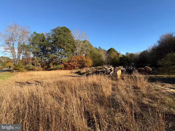 Mardela Springs, MD 21837,8385 HURLEYS NECK RD