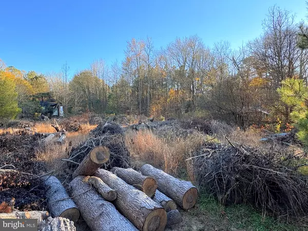 Mardela Springs, MD 21837,8385 HURLEYS NECK RD