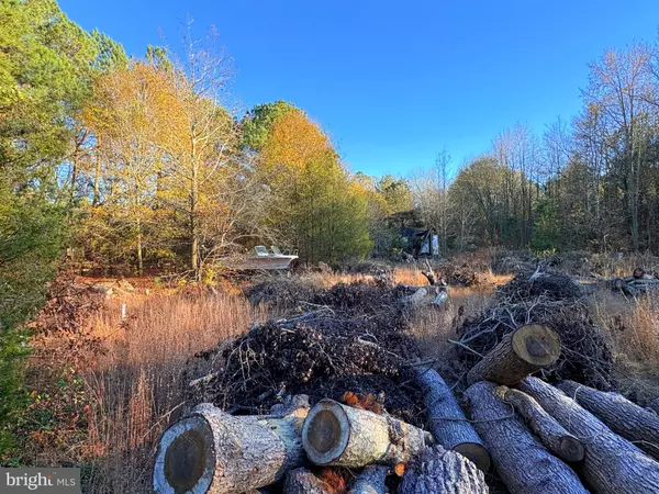 Mardela Springs, MD 21837,8385 HURLEYS NECK RD