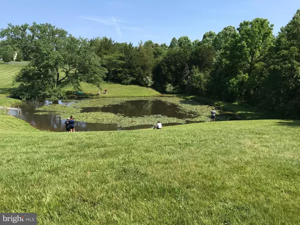 Culpeper, VA 22701,10497 BUCHANAN LN