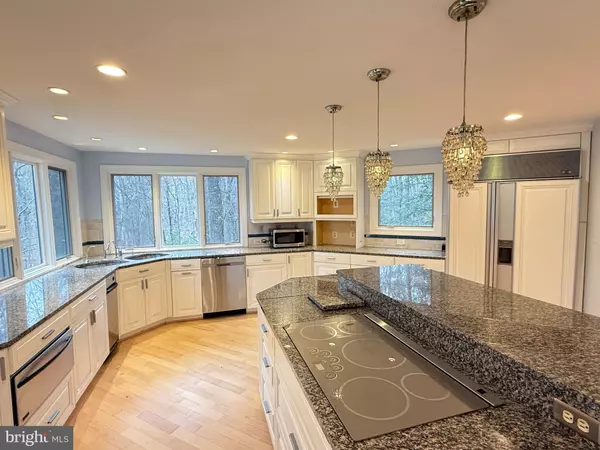 Great Falls, VA 22066,10701 SYCAMORE SPRINGS LN