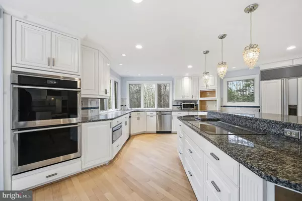 Great Falls, VA 22066,10701 SYCAMORE SPRINGS LN