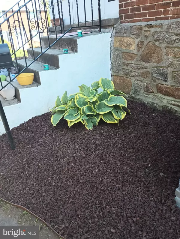 Brookhaven, PA 19015,250 E AVON RD