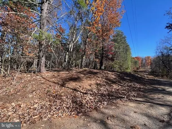 Berkeley Springs, WV 25411,RUNAWAY CT