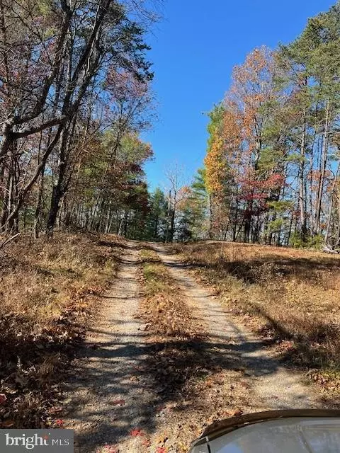 Berkeley Springs, WV 25411,RUNAWAY CT