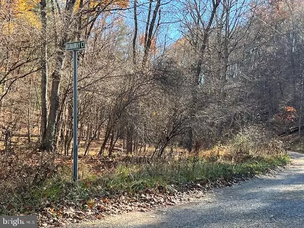 Berkeley Springs, WV 25411,RUNAWAY CT