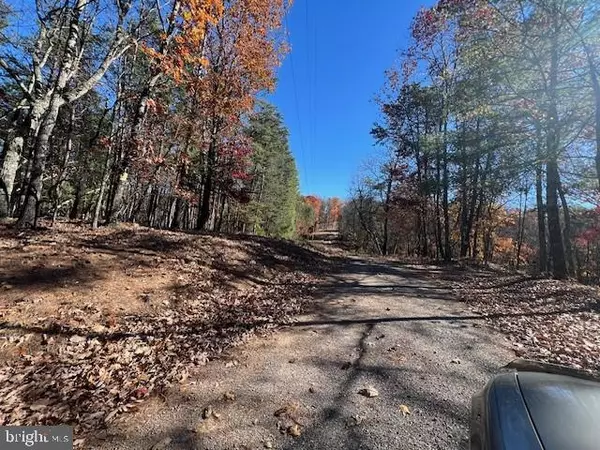 Berkeley Springs, WV 25411,RUNAWAY CT