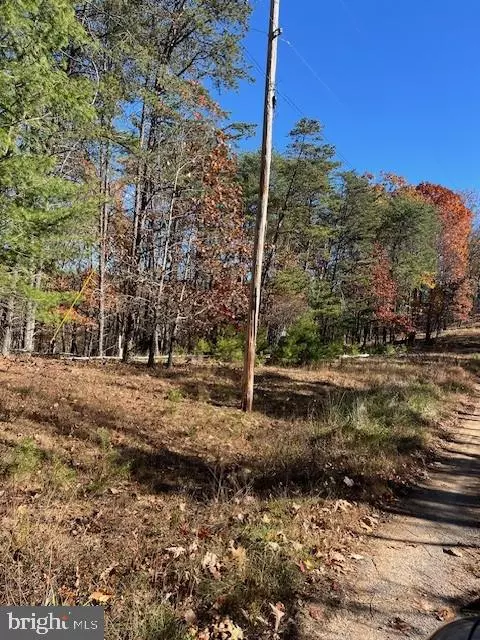 Berkeley Springs, WV 25411,RUNAWAY CT