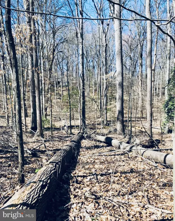 Manassas, VA 20112,12357 PURCELL RD