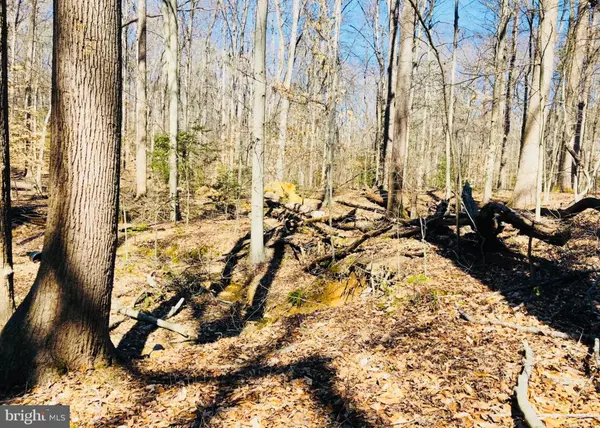 Manassas, VA 20112,12357 PURCELL RD