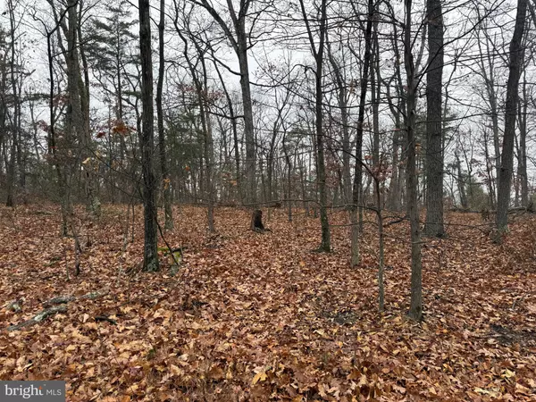 Winchester, VA 22602,0 WHITE PINE LN