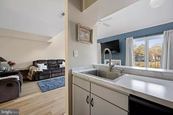 Rehoboth Beach, DE 19971,20852 SPRING LAKE DR #405