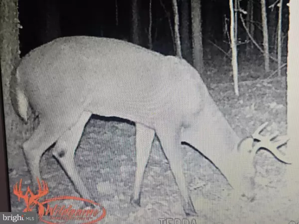 Allen, MD 21810,0 COTTMAN RD