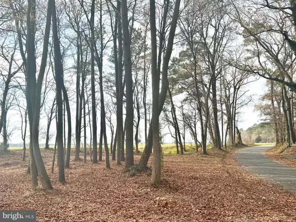 Allen, MD 21810,0 COTTMAN RD