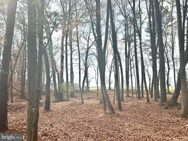 Allen, MD 21810,0 COTTMAN RD