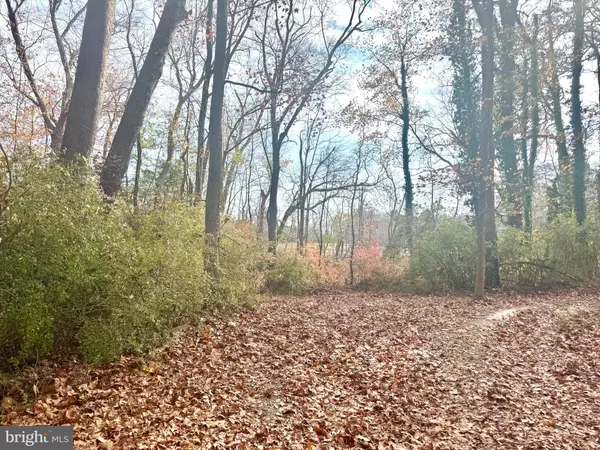 Allen, MD 21810,0 COTTMAN RD