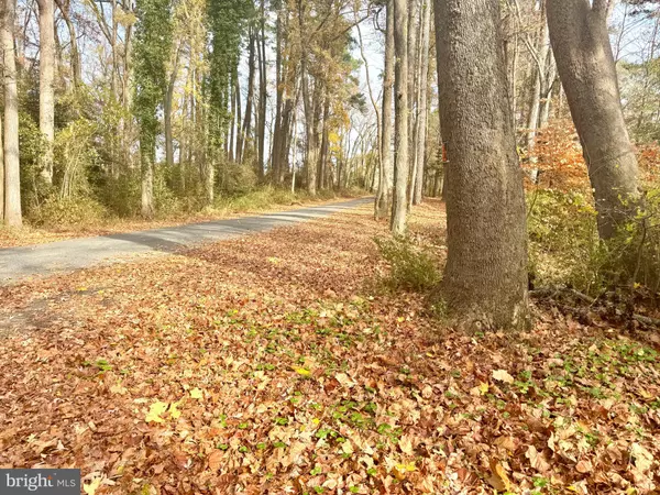 0 COTTMAN RD, Allen, MD 21810