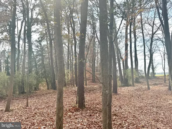 Allen, MD 21810,0 COTTMAN RD