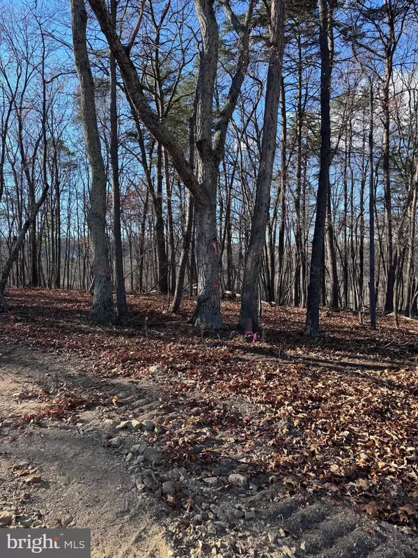 Berkeley Springs, WV 25411,YOUNG LN