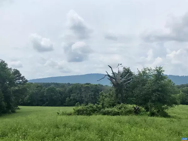 Gordonsville, VA 22942,TBD RED HILL RD