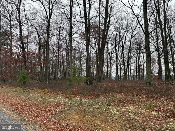 DOMAN RIDGE RD, Romney, WV 26757