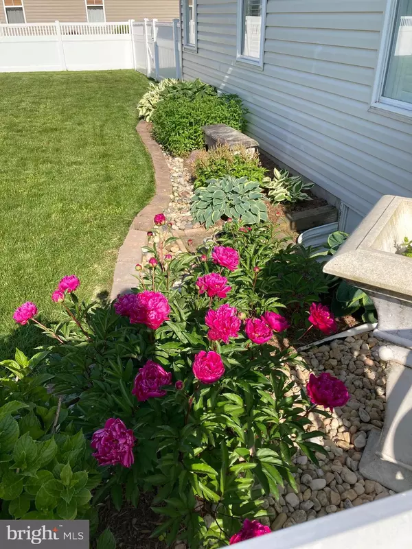 Lewes, DE 19958,31436 WATERS WAY