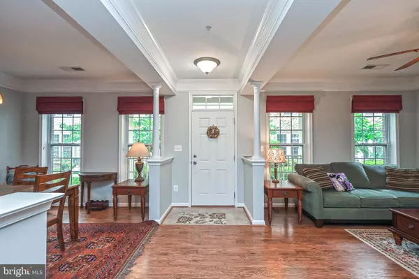 Aldie, VA 20105,41953 BLUE FLAG TER