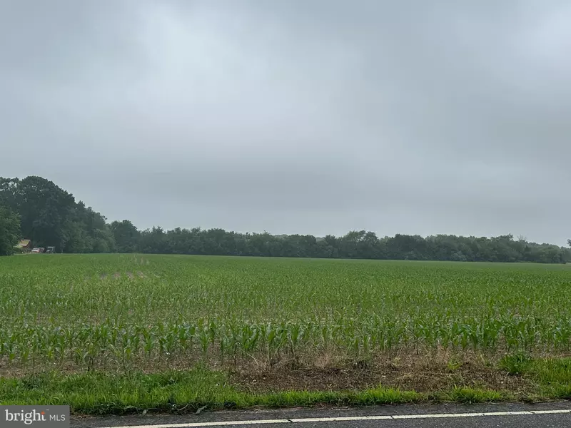 BLOCK 703 LOT 2 BIG OAK RD, Bridgeton, NJ 08302