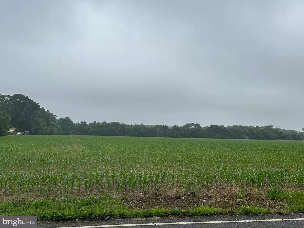 Bridgeton, NJ 08302,BLOCK 703 LOT 2 BIG OAK RD