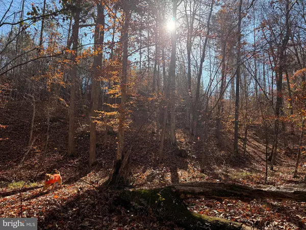 Scottsville, VA 24562,0 HARDWARE RD