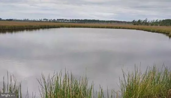 Crapo, MD 21626,3241 ROBBINS RD