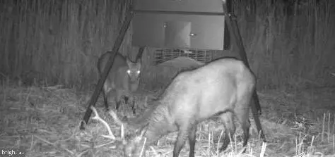 Crapo, MD 21626,3241 ROBBINS RD