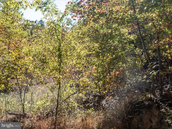 Martinsburg, WV 25403,TUSCARORA PIKE PARCEL 13 & 14