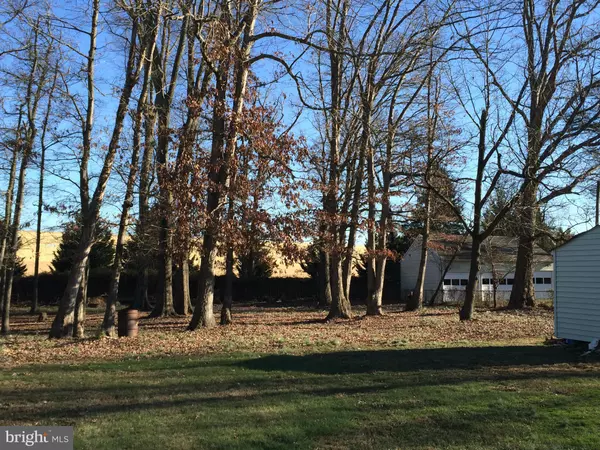 Fredericksburg, VA 22401,3456 FALL HILL AVE