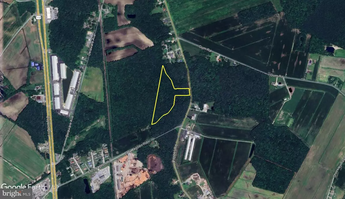 Frankford, DE 19945,8.428 ACRES PEPPER RD