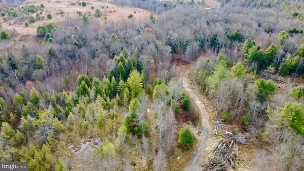 Morrisdale, PA 16858,1042 LOWER HOLLOW RD