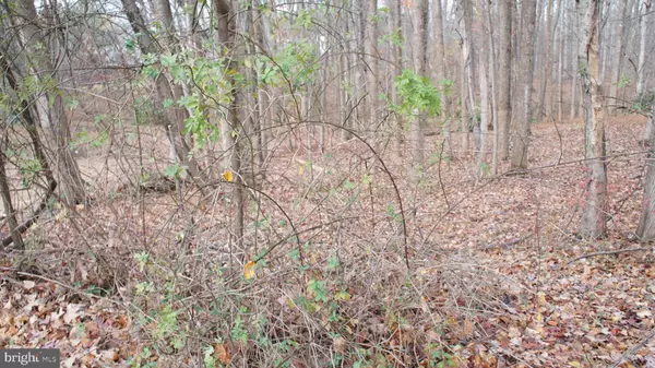 Herndon, VA 20171,3140 SEARSMONT PL