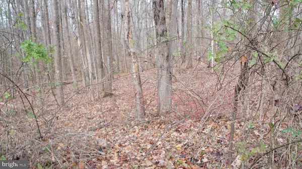 Herndon, VA 20171,3140 SEARSMONT PL