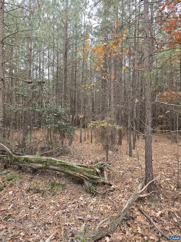 Colonial Beach, VA 22443,16 EVERGREEN DR #16