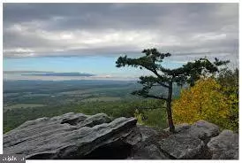 Haymarket, VA 20169,2613 LOOKOUT RD