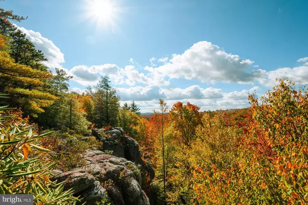 Oakland, MD 21550,LOT 2 BEAVER RUN RD