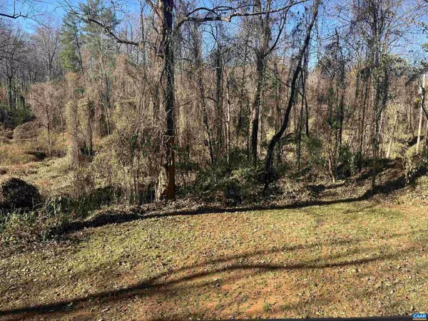 Charlottesville, VA 22903,158 BUCKINGHAM CIR #A&B