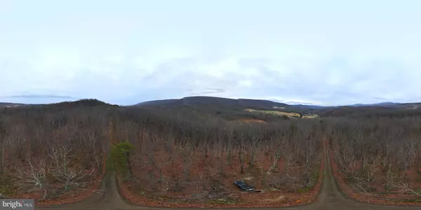 Baker, WV 26801,LOT 2 COVE CREEK RD