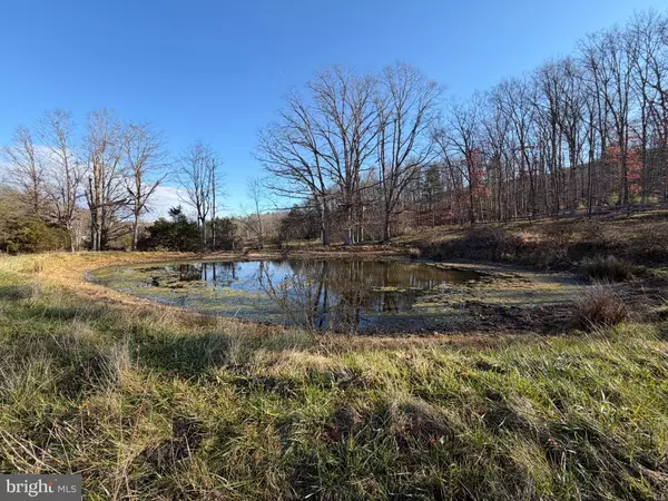 Baker, WV 26801,34.58 AC OFF SPERRY'S RUN RD