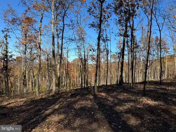 Purcellville, VA 20132,0 DIGGING BEAR LN