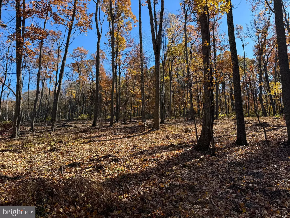 Hillsboro, VA 20132,0 DIGGING BEAR LN
