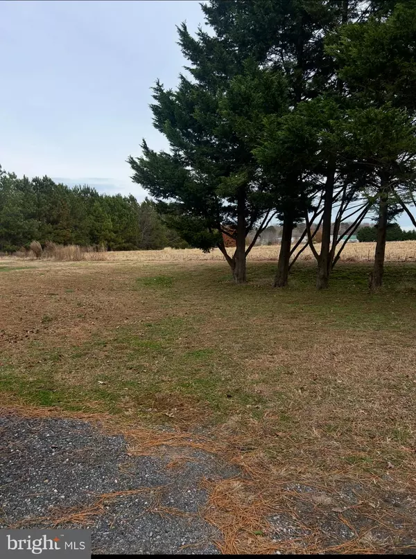 Harbeson, DE 19951,29001 HARRIET AVE