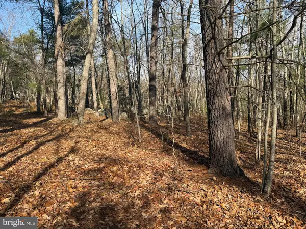 Capon Bridge, WV 26711,5 COOPER MOUNTAIN VIEW