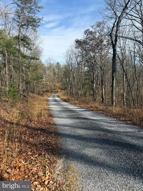 Capon Bridge, WV 26711,5 COOPER MOUNTAIN VIEW