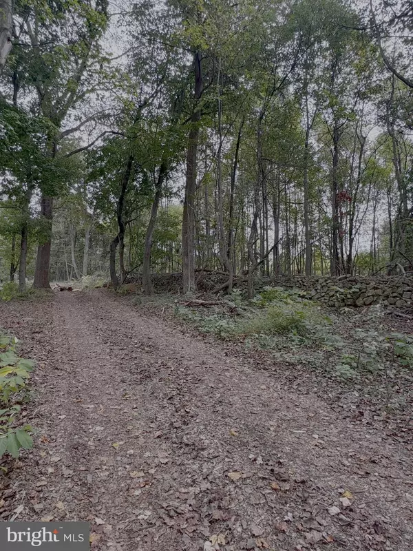 Dillsburg, PA 17019,0 MEADOW TRL #LOT 5